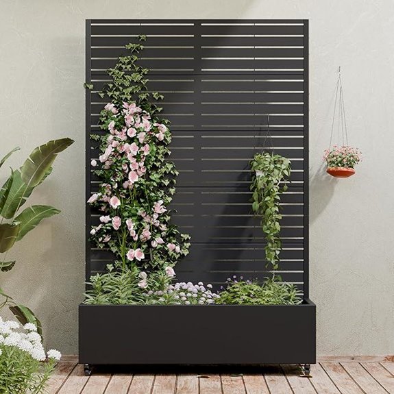 10 Best Plants for Privacy Screens in 2026 10 casaphoria raised bed with trellis