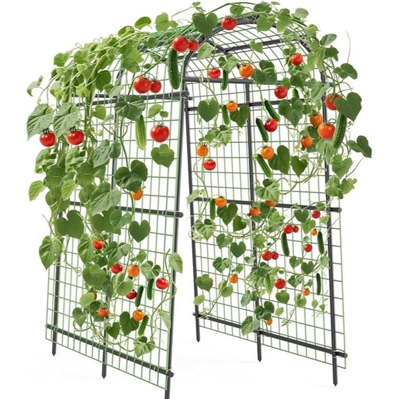 10 Best Vines for Pergolas in 2026 10 garden arch trellis 7 5ft