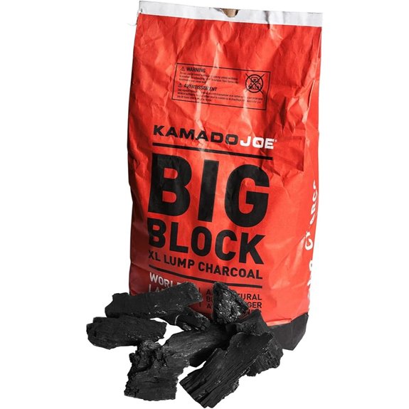 10 Best Charcoal for Grilling in 2026 2 kamado joe big block xl