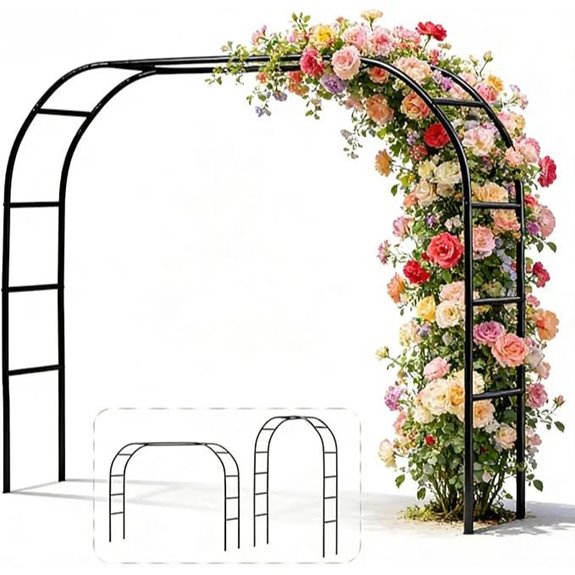 10 Best Vines for Pergolas in 2026 6 metal garden arbor for weddings