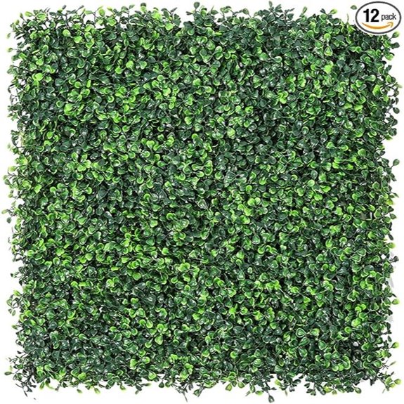 10 Best Plants for Privacy Screens in 2026 8 sunnyglade boxwood hedge panels pack