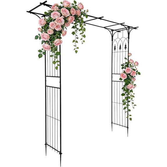 10 Best Vines for Pergolas in 2026 8 vingli black garden archway